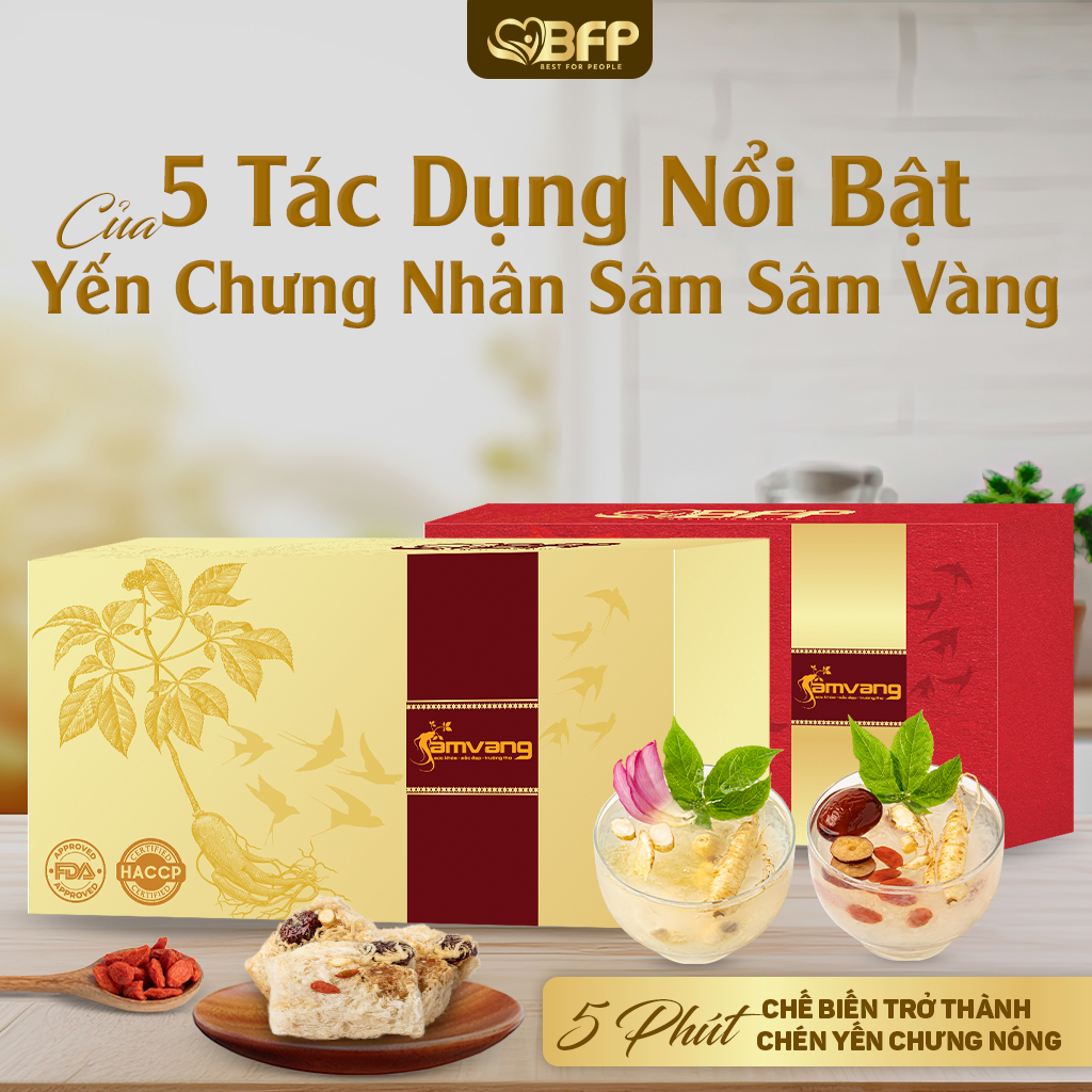 5 tác dụng nổi bật của Yến chưng nhân sâm Sâm Vàng